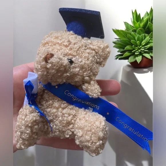 16 Pcs 4 Inches Blue Congratulations Mini Plush Graduation Bear with Diploma - Picture 5 of 7